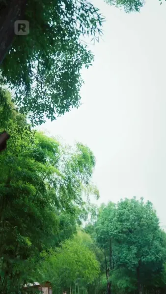 เขากลับมา ในคราบสามีของฉัน