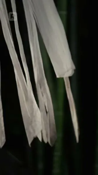 เขากลับมา ในคราบสามีของฉัน