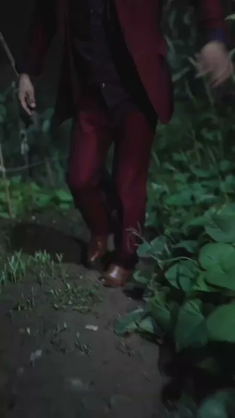 เงาที่หายไปของวันวาน