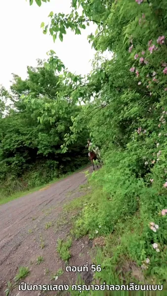 [พากย์ไทย]เคยพบเจ้าครานั้น บุปผางามจับตา