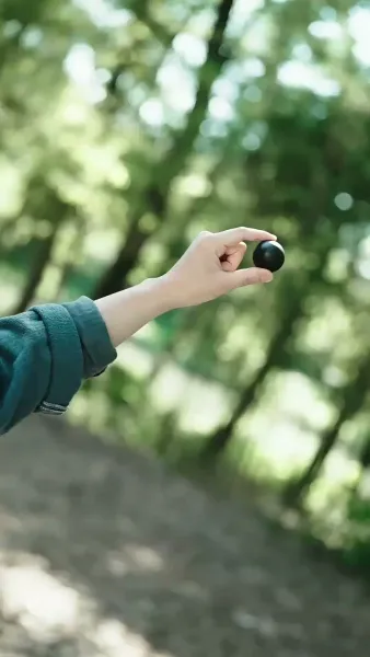 จอมยุทธผู้พิทักษ์