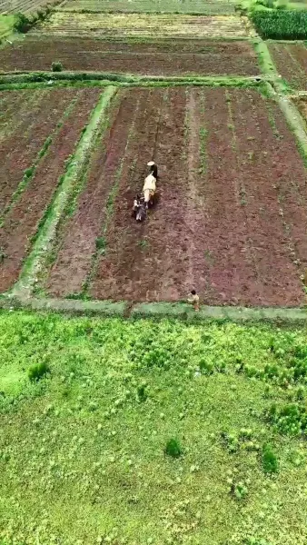 จอมยุทธผู้พิทักษ์