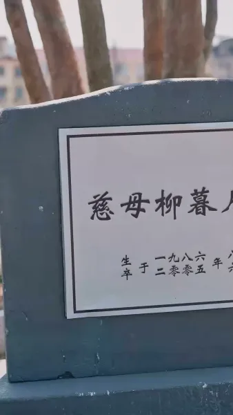 ดอกบอลลูนน้อยที่รัก