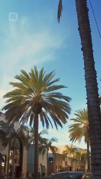 ถูกจับและผูกมัดโดย CEO ของคุณ