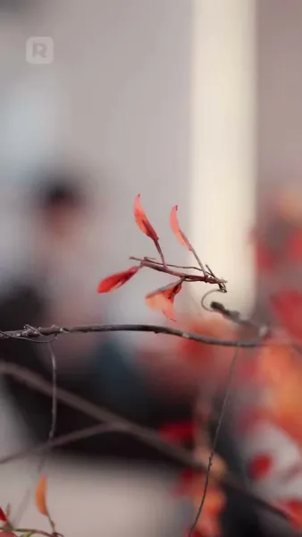 รักยังคงอยู่