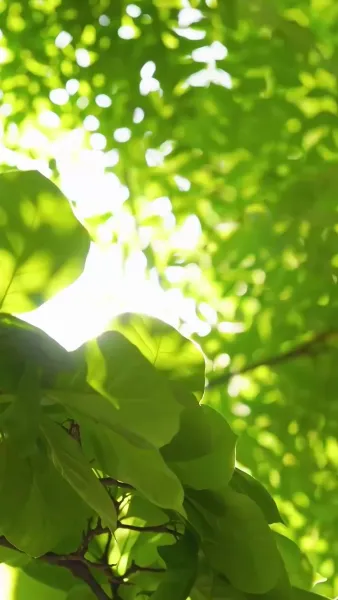 รักซ่อนใจ หลังวิวาห์