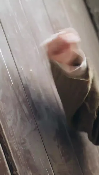 หย่าขาดรัก ทวงคืนอำนาจ