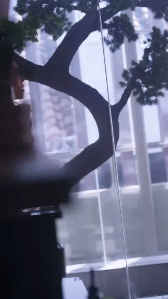 รักซ่อนมีด