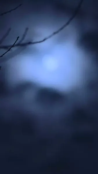 รักซ่อนมีด