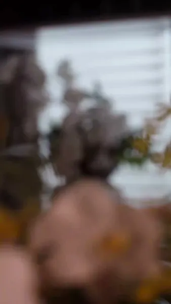 รักซ่อนมีด