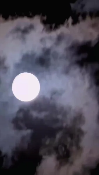 รักลับๆ ใต้ชายคาเดียวกัน