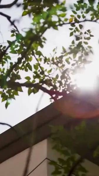 ลิขิตใจ นายจอมพิทักษ์