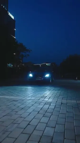 ลิขิตใจ นายจอมพิทักษ์