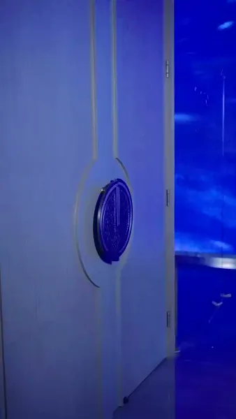 หลงกลพิศวาสรัก