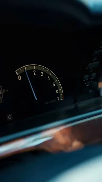 ฟื้นจากเถ้าถ่าน(พากย์ไทย)