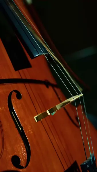 ฟื้นจากเถ้าถ่าน(พากย์ไทย)