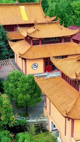 ฟื้นจากเถ้าถ่าน(พากย์ไทย)