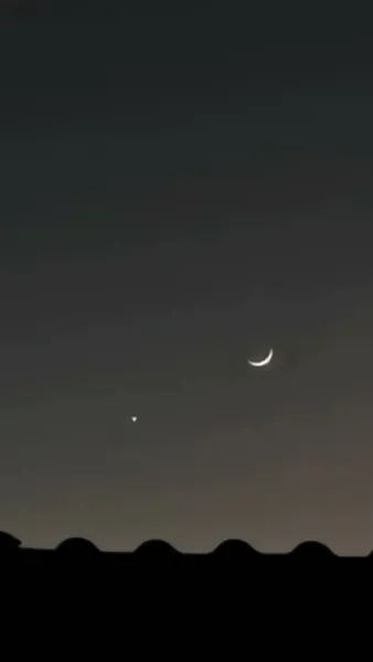 สาวอ้วนเกิดใหม่