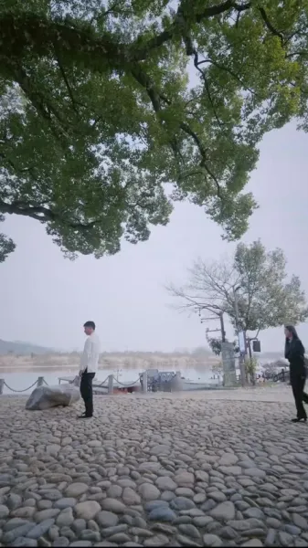 ข้าไม่ได้ตั้งใจเซียน