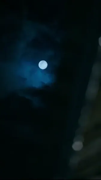 ข้าไม่ได้ตั้งใจเซียน