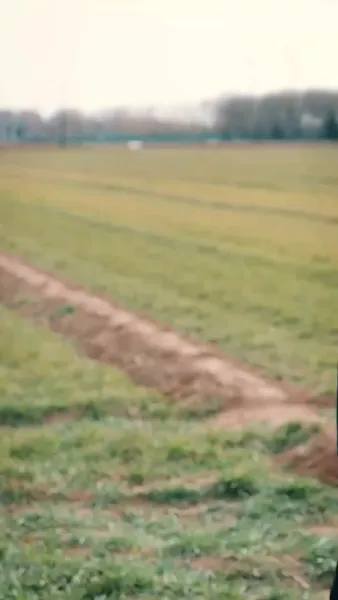 รักเต็มเปี่ยม