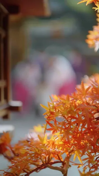 จันทราในอ้อมใจ