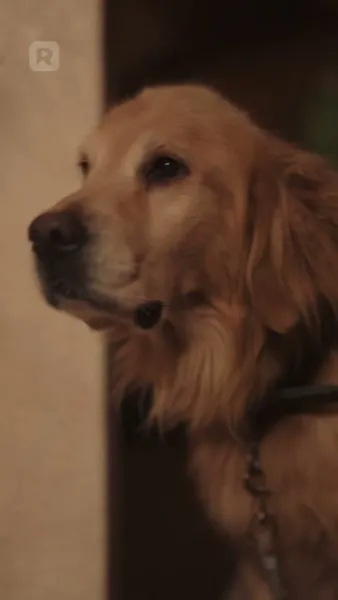 พอดีที่ใจเต้น พอดีที่เธอมา