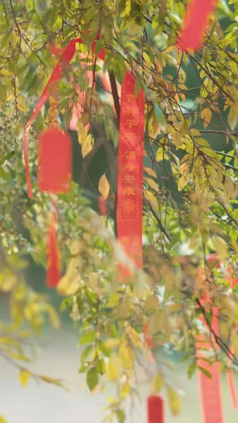 พอดีที่ใจเต้น พอดีที่เธอมา