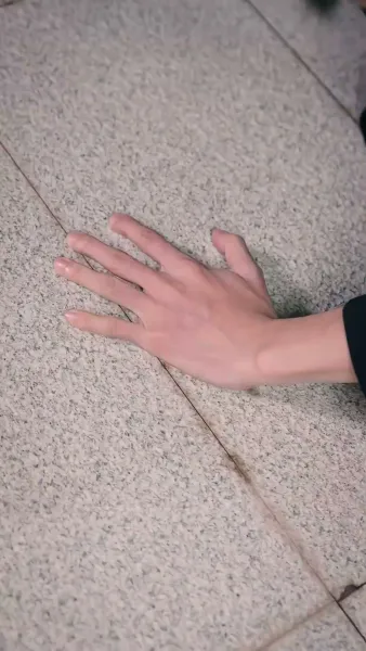 การกลับมาของทายาทตัวจริง