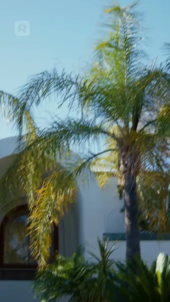 ดูสิ่งที่คุณทำให้ฉันทำ