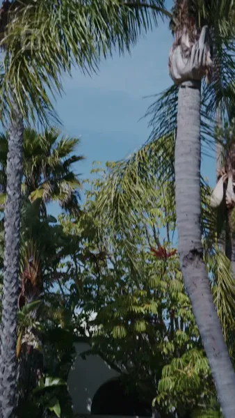 ดูสิ่งที่คุณทำให้ฉันทำ