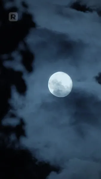 ดูสิ่งที่คุณทำให้ฉันทำ