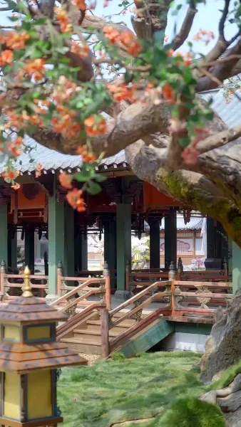 ปีศาจกระต่ายนักอุ้มรัก