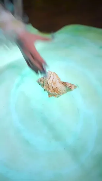 ปีศาจกระต่ายนักอุ้มรัก