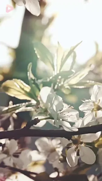 [พากย์ไทย] คุณอาคะ แต่งงานกับหนูเถอะ