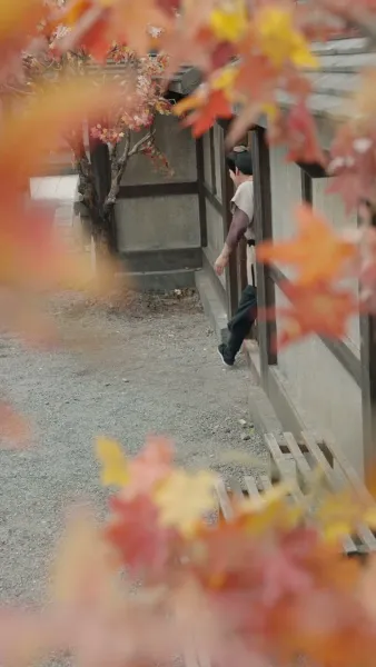 หนูน้อยพูดกับสัตว์ได้ พลิกชะตาทั้งบ้าน