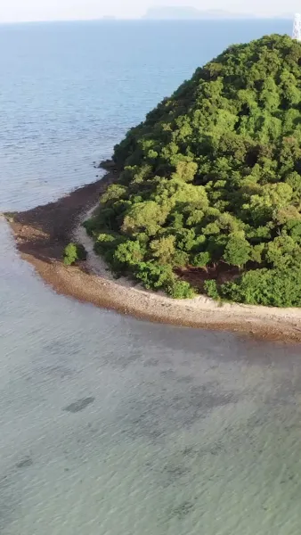 หนูน้อยพูดกับสัตว์ได้ พลิกชะตาทั้งบ้าน