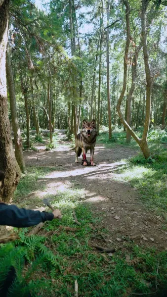 หนูน้อยพูดกับสัตว์ได้ พลิกชะตาทั้งบ้าน