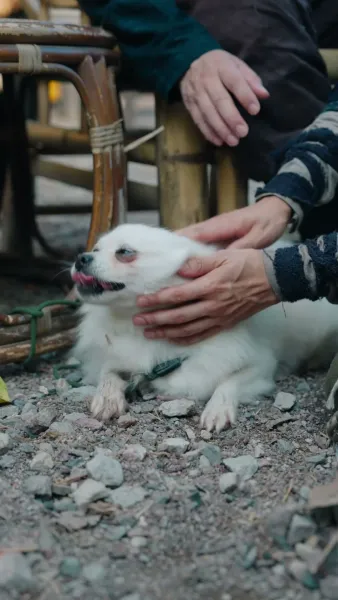 หนูน้อยพูดกับสัตว์ได้ พลิกชะตาทั้งบ้าน