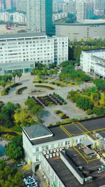 ชนครั้งเดียว ชีวิตเปลี่ยนหมด