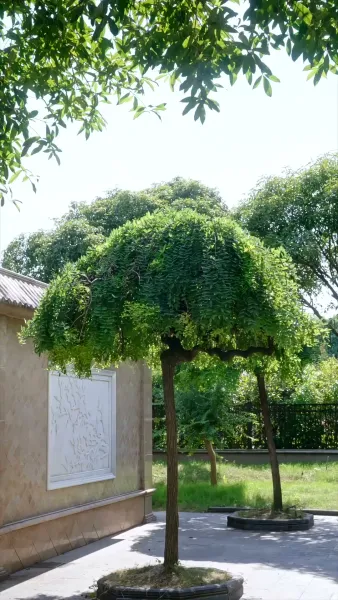 วิวาห์ร้าว ลวงใจรัก