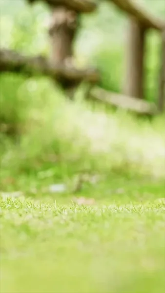 วิวาห์ร้าว ลวงใจรัก