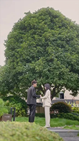 วิวาห์ร้าว ลวงใจรัก