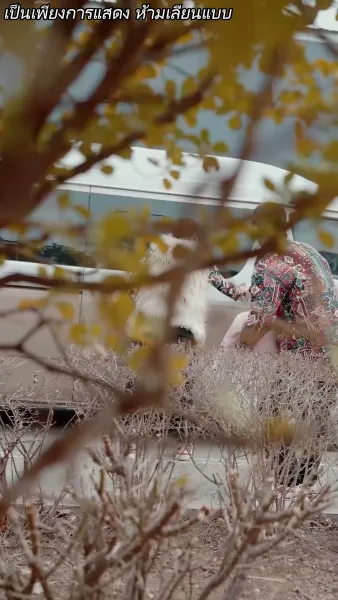 แหวกฟ้า มาบอกรักคุณ