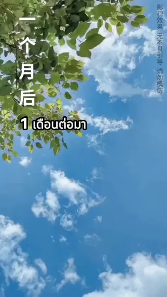 ค่ำคืนที่น่าหลงใหล