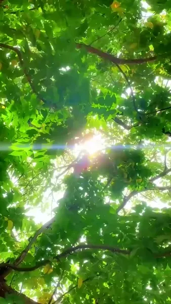 พิชิตรักราชินีสุดแกร่ง