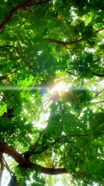 พิชิตรักราชินีสุดแกร่ง