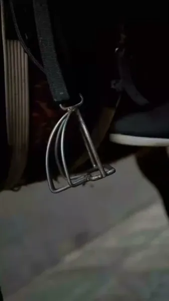 กษัตริย์ผู้เงียบงัน