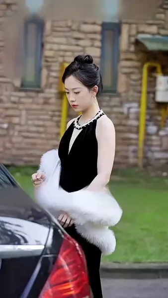 เขยแห่งเจิ้นกั๋ว