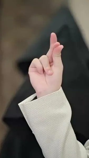 เขยแห่งเจิ้นกั๋ว